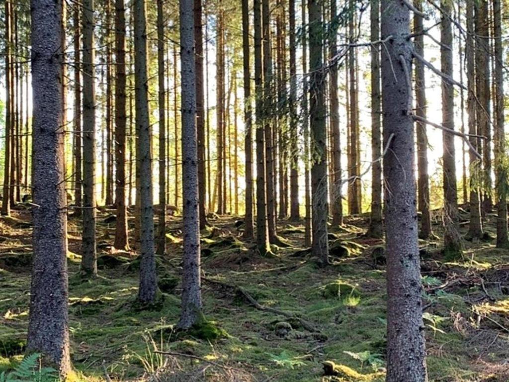 En lantlig idyll med skogen precis utanför dörren! Villa Ullared Exteriör bild